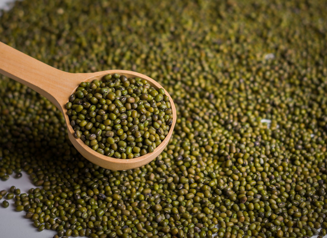 POROTOS MOONG
