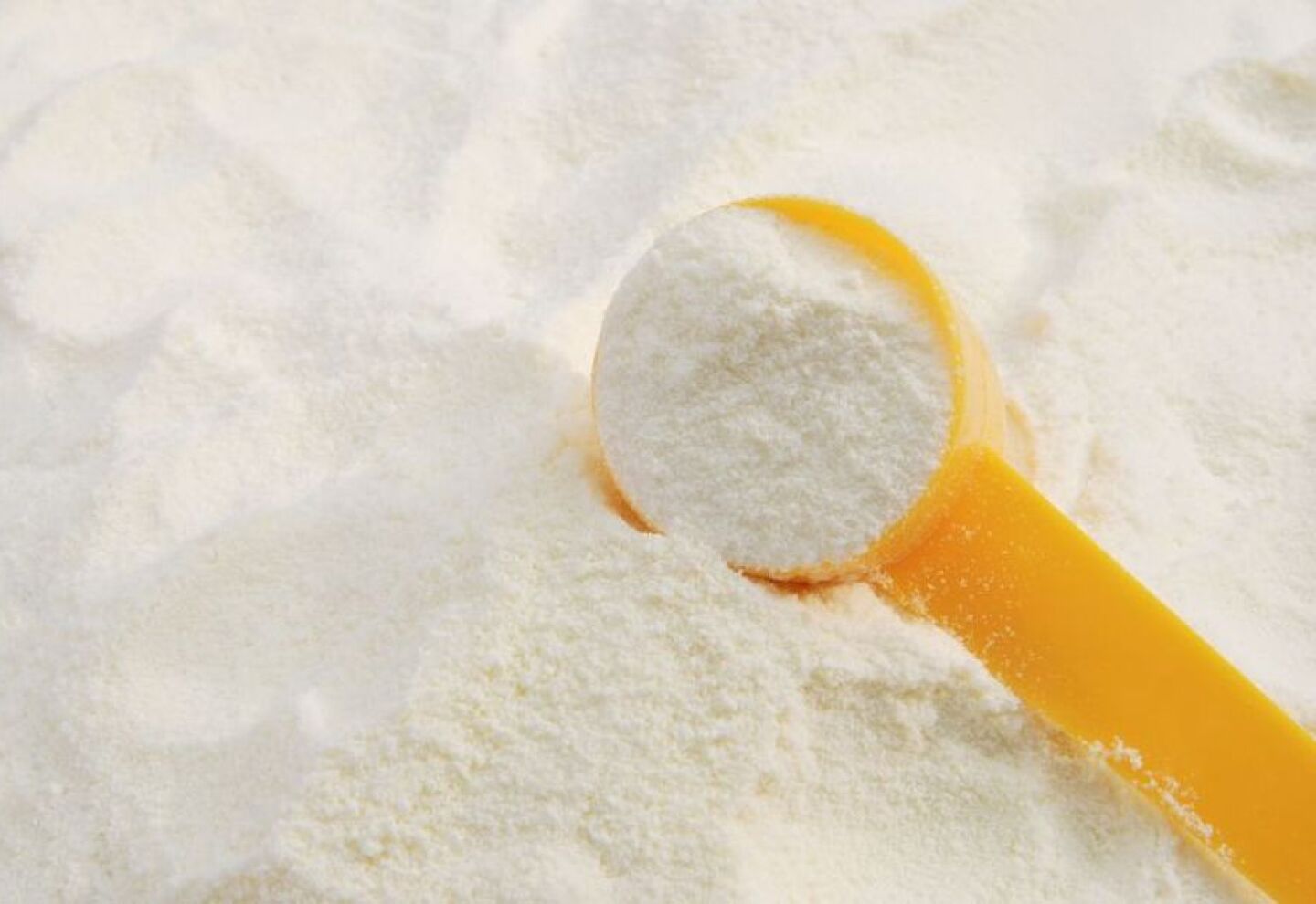 LECHE EN POLVO DESCREMADA