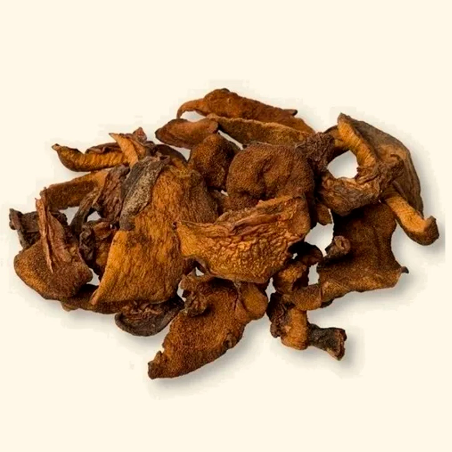 HONGOS SECOS