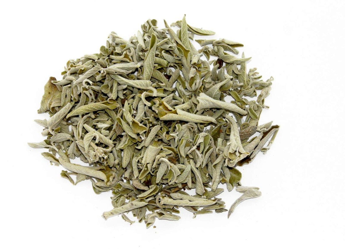 SALVIA