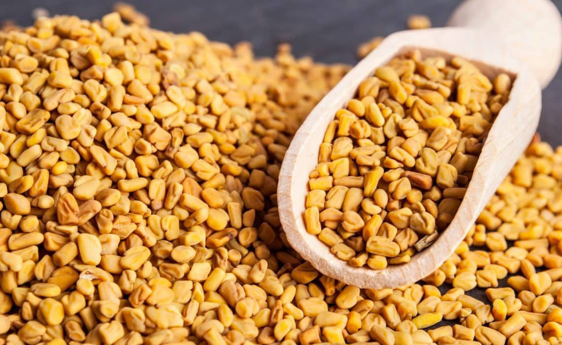 FENOGRECO EN GRANO