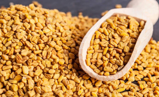 FENOGRECO EN GRANO