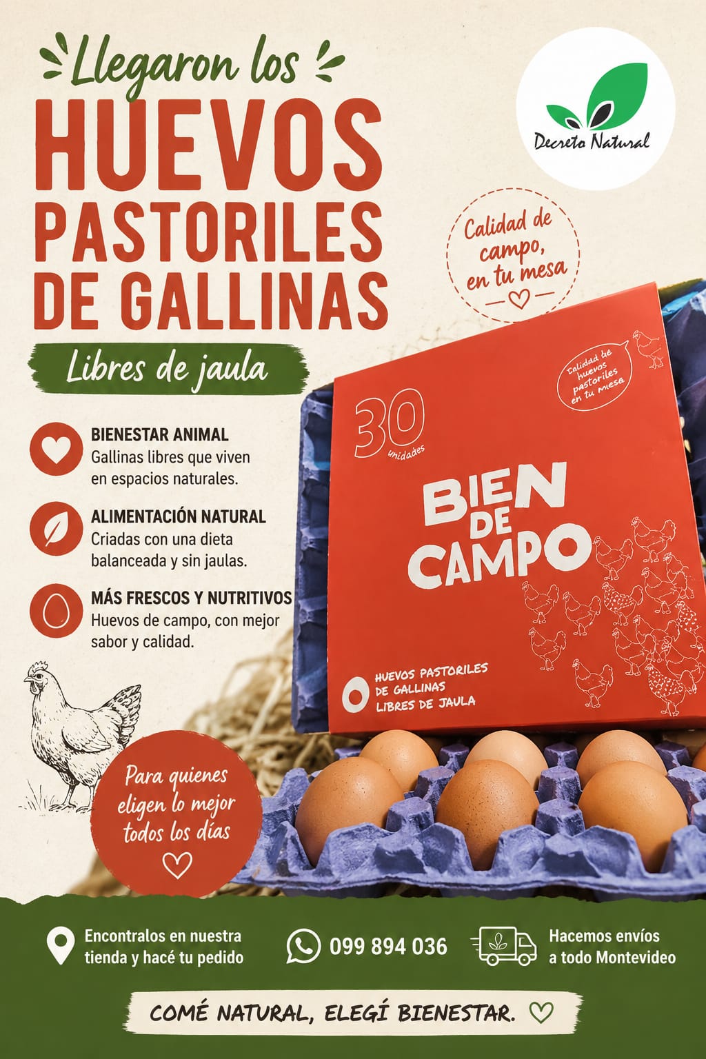 HUEVOS BIEN DE CAMPO X 30 UNIDADES