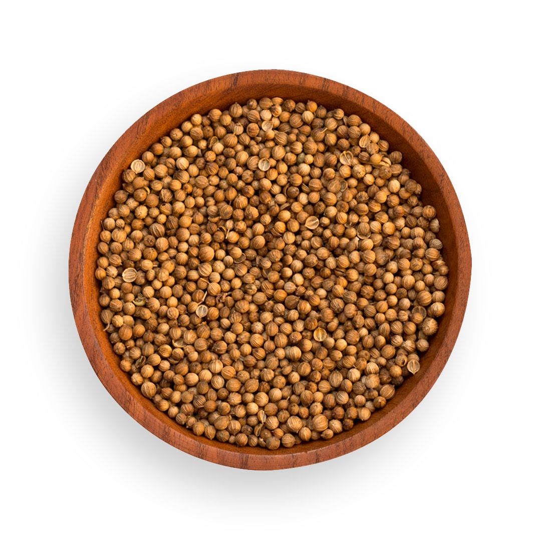 COREANDRO EN GRANO