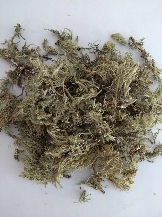 YERBA  LA PIEDRA